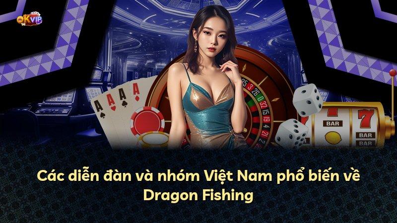 Các diễn đàn và nhóm Việt Nam phổ biến về Dragon Fishing