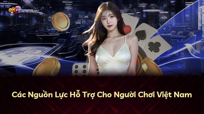 Các Nguồn Lực Hỗ Trợ Cho Người Chơi Việt Nam