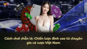 Cách chơi chẵn lẻ: Chiến lược đỉnh cao từ chuyên gia cá cược Việt Nam