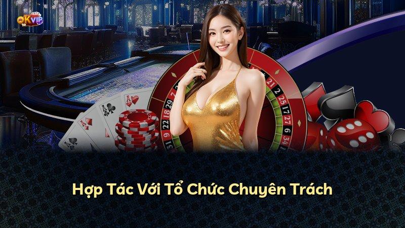 Hợp Tác Với Tổ Chức Chuyên Trách