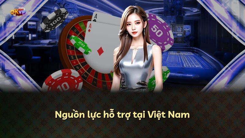 Nguồn lực hỗ trợ tại Việt Nam