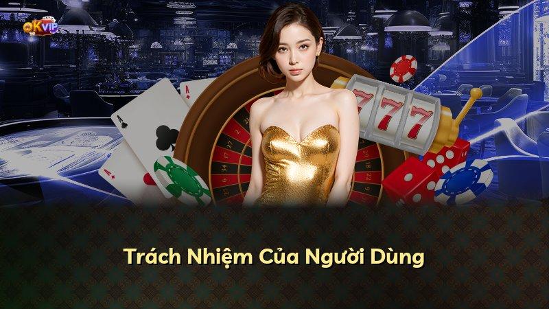 Trách Nhiệm Của Người Dùng